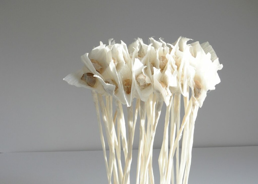 Heinrich-Schütz-Haus Weißenfels | O teure Küsse und glückliche Wälder ODER: Wie steht es um Arkadien?