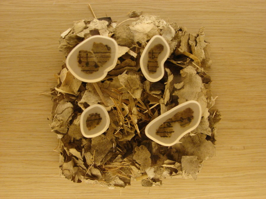 Heinrich-Schütz-Haus Weißenfels | Museumspädagogik