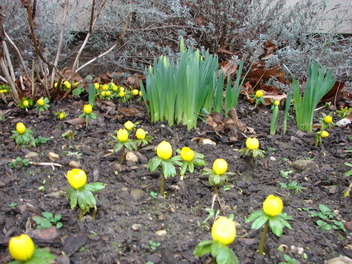 Heinrich-Schütz-Haus Weißenfels | Osterbräuche rund um die Frühlingsgans