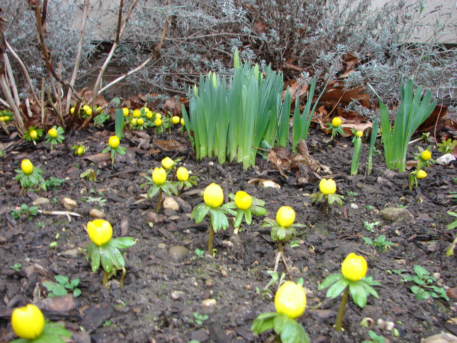 Heinrich-Schütz-Haus Weißenfels | Museumspädagogik